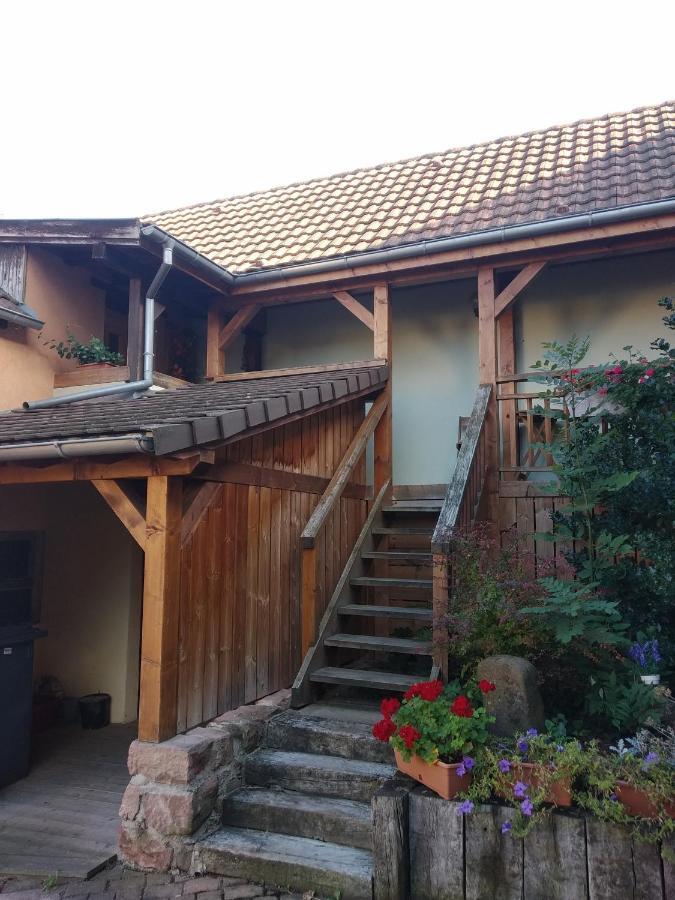 Apartamento Chez Frederic Et Alexandre Bennwihr Exterior foto